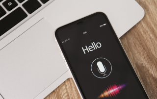 voice search